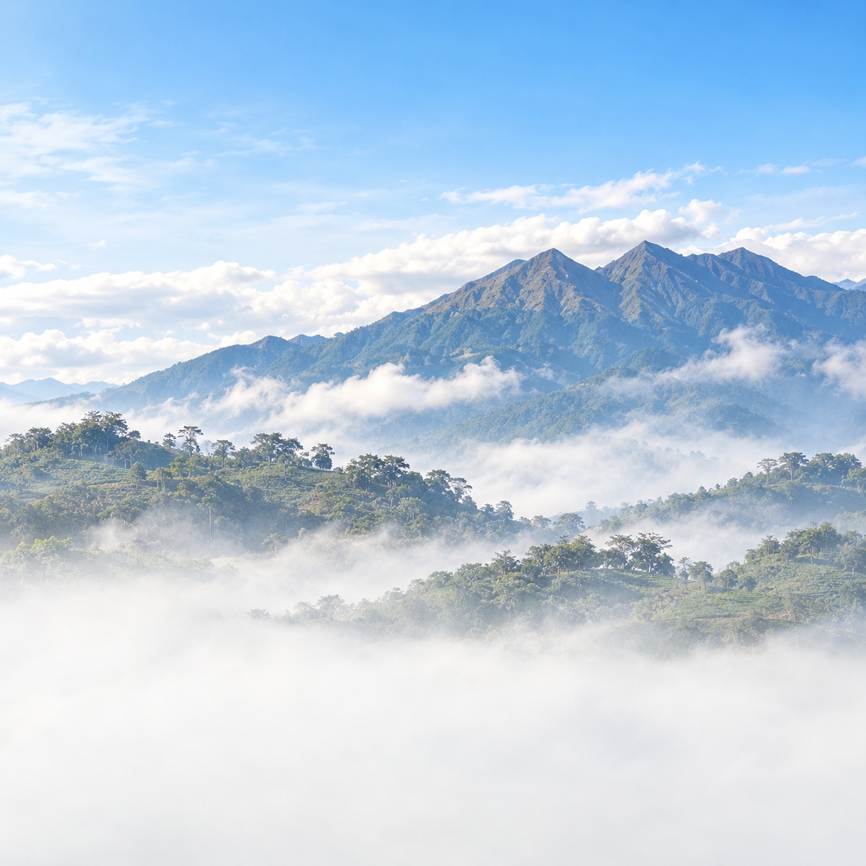 Ijen volcanic mountain landscape with sea of clouds