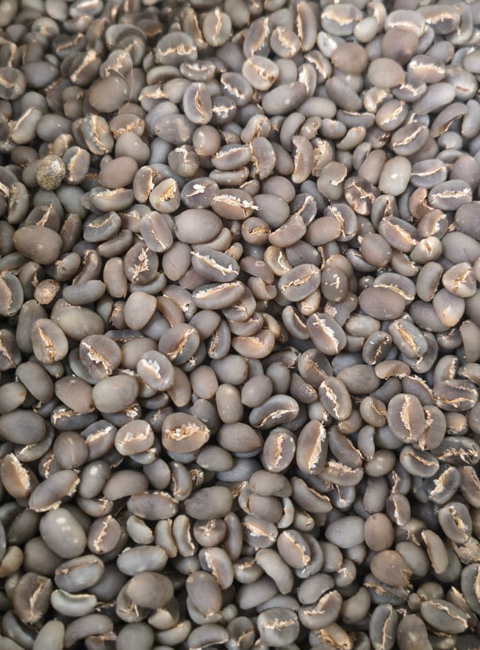 Arabica Semi-Washed Ijen — Herbal, cacao, mild spice, caramel