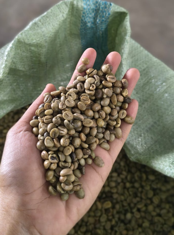Robusta Ijen — Dark chocolate, earthy, roasted nut