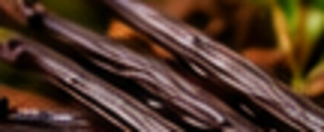 Vanilla — Exotic & valuable